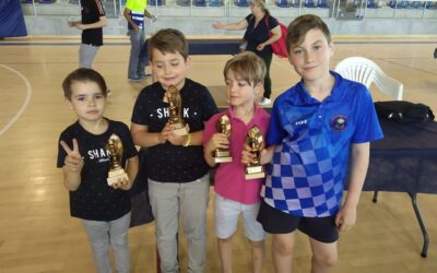 VIII Torneo de Ajedrez de la feria de Alhaurín el Grande y I Torneo Infantil de Nerja